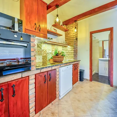 Holiday home Dedina Srica By Interhome